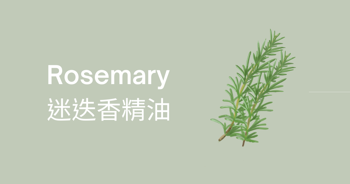 迷迭香精油 – WFH 夏日工作必備精油