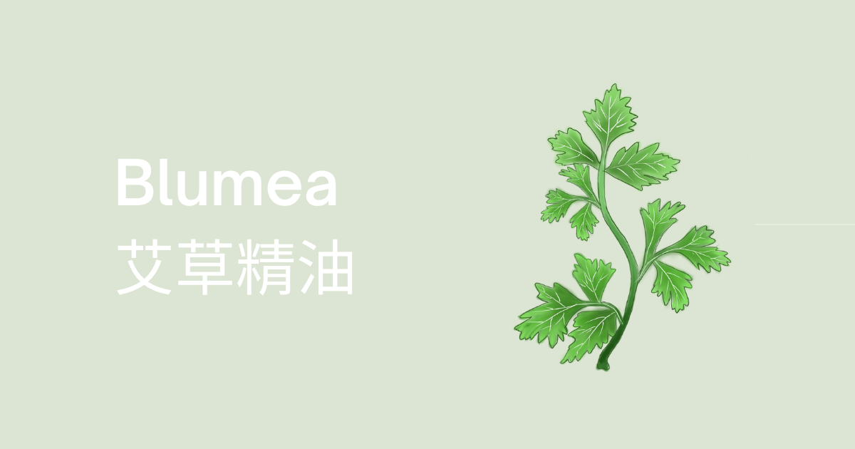 艾草精油-端午節必備