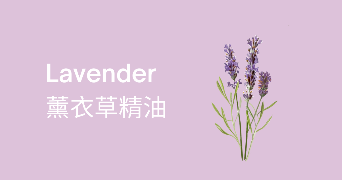 薰衣草精油的五大品種及功效