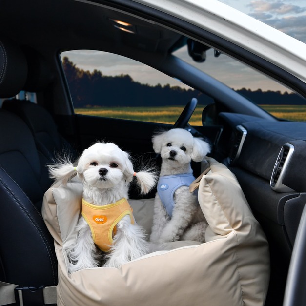 Olchi 韓國寵物汽車座椅