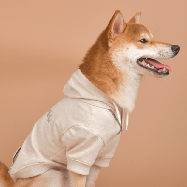 Olchi 韓國寵物帽T