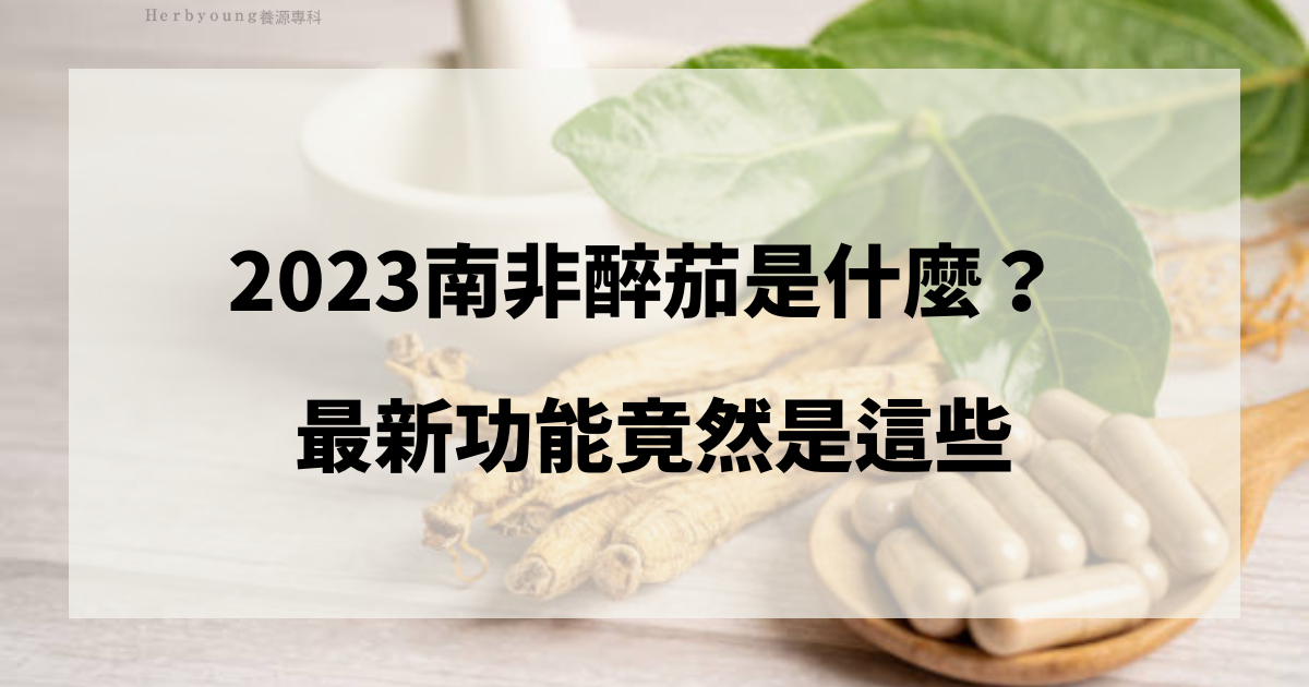 2023南非醉茄是什麼？ 最新功能竟然是這些