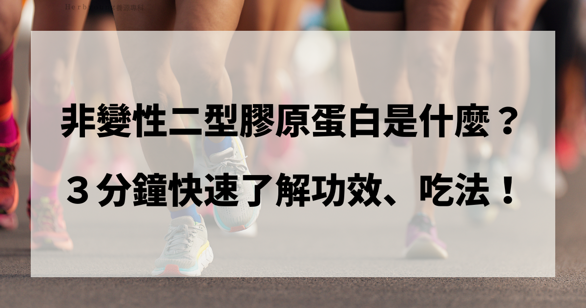 UC-II/UC2是什麼？三分鐘帶你認識功效、推薦族群及吃法！