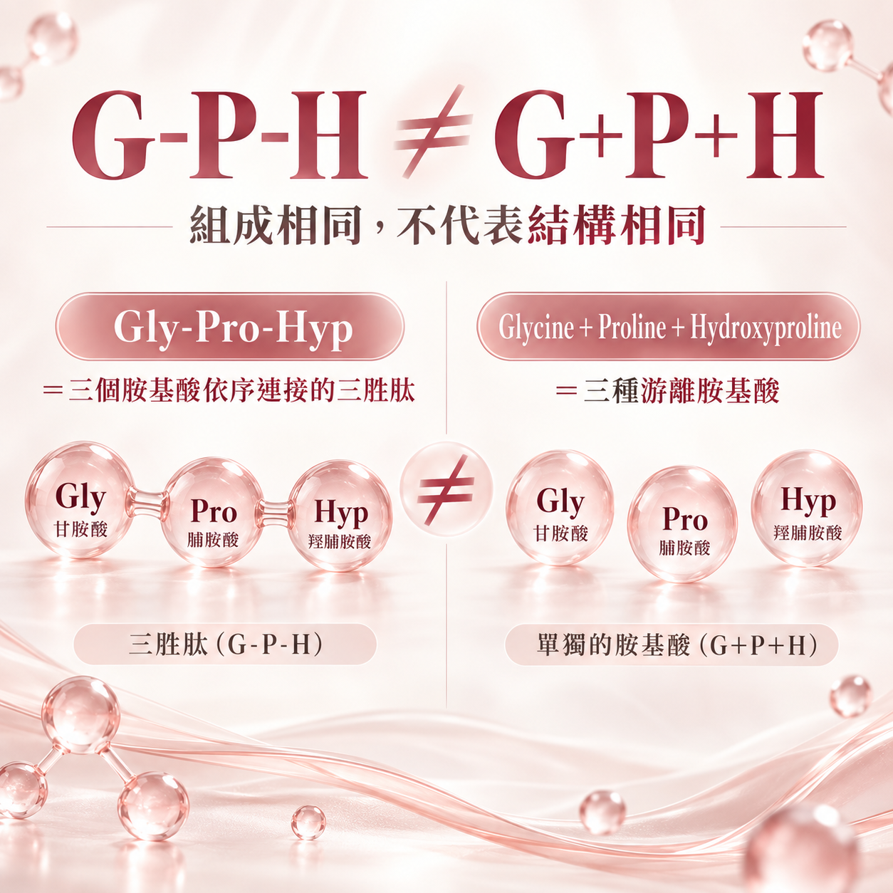 Gly-Pro-Hyp三胜肽與甘胺酸脯胺酸羥脯胺酸三種游離胺基酸的差異