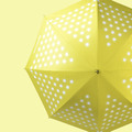 彩虹晴雨直傘|大傘面23吋|台灣福懋傘布(防曬/抗UV/防風)_3