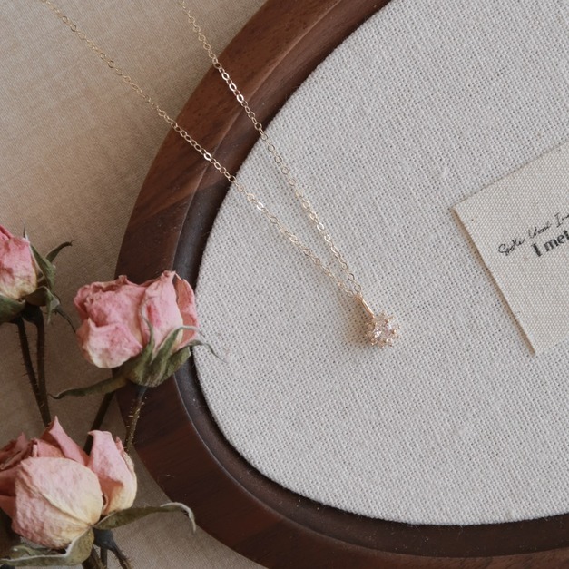 恆星一顆鑽鋯石項鍊(美國注金)