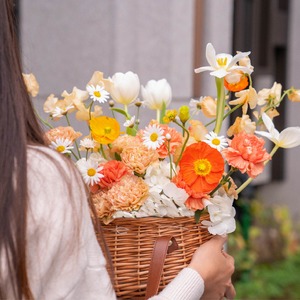 煦煦微光 提籃花