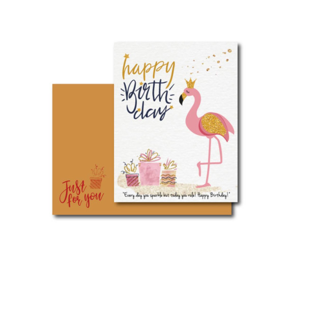 B39閃閃惹人愛的紅鶴