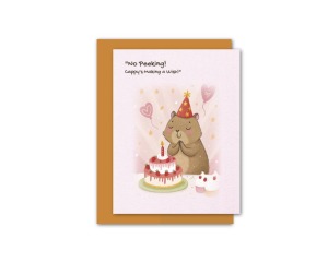 B62卡皮的祕密願望【2025新品】