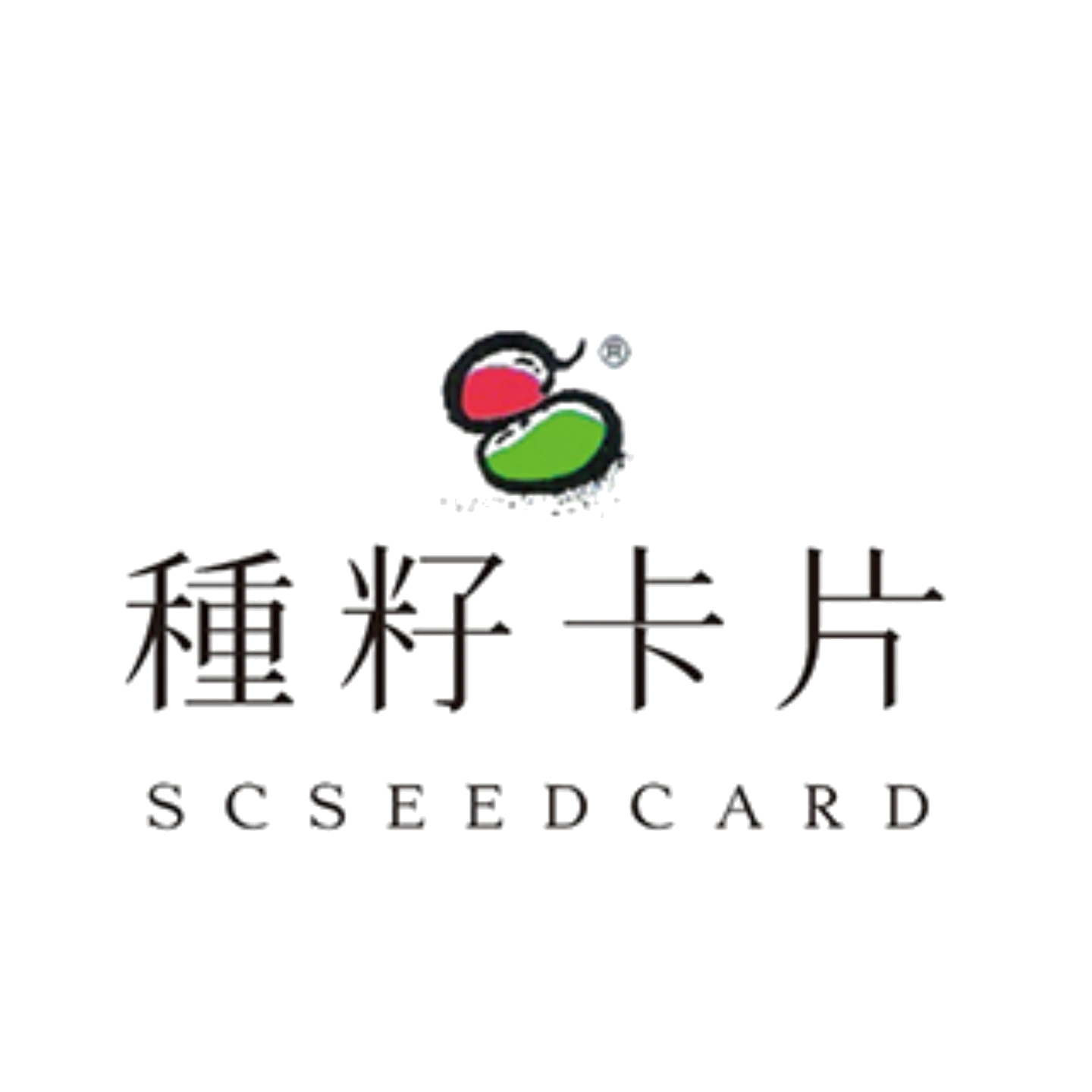 種籽卡片｜友誼與成功的橋樑