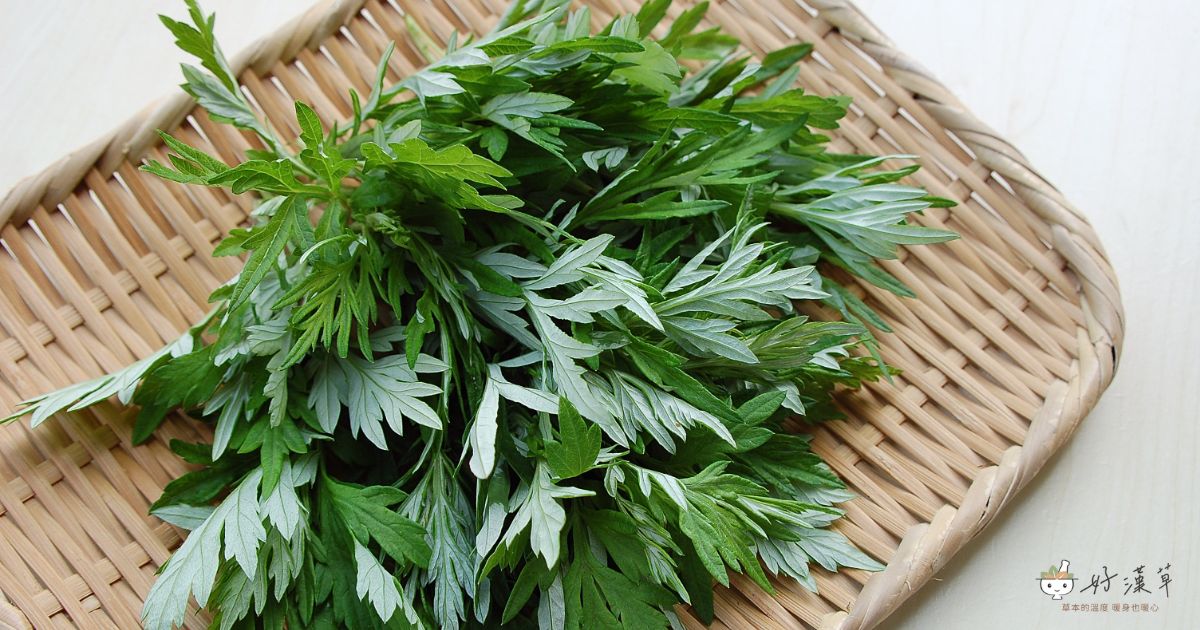 農曆7月禁忌多 艾草避邪除穢保平安