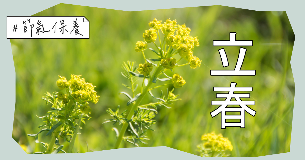 24節氣 立春：大地運行的氣候與人體運行