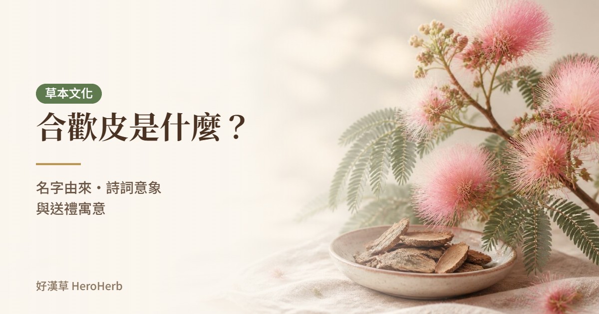 合歡皮是什麼？合歡樹的名字由來、詩詞意象與送禮寓意｜好漢草