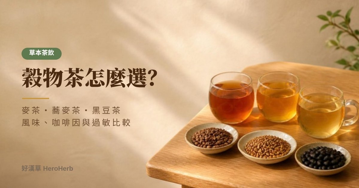 麥茶、蕎麥茶、黑豆茶差在哪？風味、咖啡因與過敏一次比較｜好漢草
