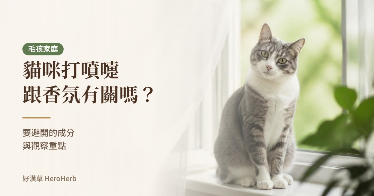 貓咪打噴嚏跟香氛有關嗎？要避開的成分與觀察重點｜好漢草