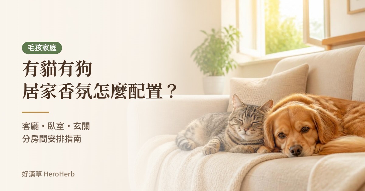 有貓有狗怎麼安排居家香氛？客廳臥室玄關分房間配置指南｜好漢草