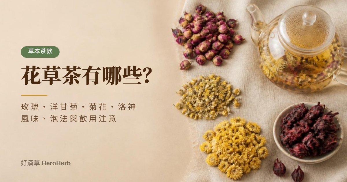 花草茶有哪些？玫瑰、洋甘菊、菊花、洛神風味與泡法比較｜好漢草
