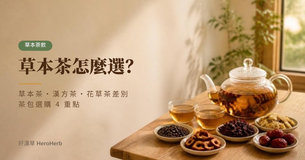 草本茶是什麼？草本茶、漢方茶差別，茶包怎麼選 4 重點｜好漢草