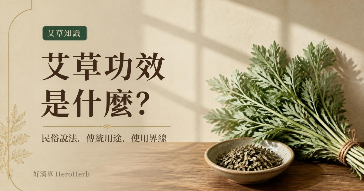 艾草功效是什麼？民俗說法、傳統用途與使用界線｜好漢草