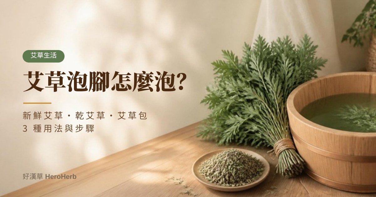 艾草泡腳怎麼泡？新鮮艾草、乾艾草、艾草包 3 種用法與步驟｜好漢草