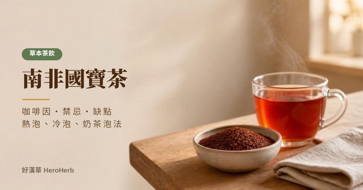 南非國寶茶是什麼？咖啡因、禁忌、缺點與泡法一次看｜好漢草