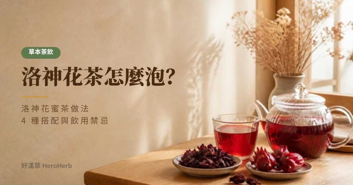 洛神花茶怎麼泡？洛神花蜜茶做法、禁忌與產季｜好漢草