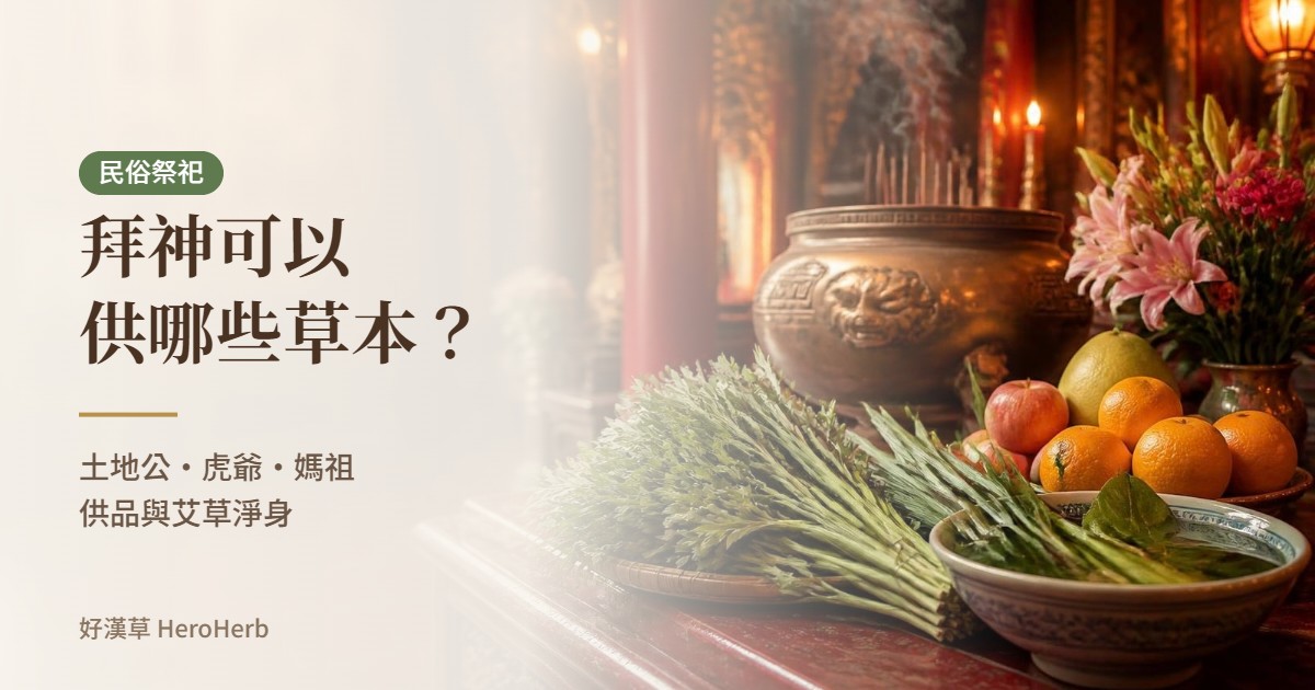 拜神可以供哪些草本？土地公、虎爺、媽祖供品與艾草淨身整理｜好漢草