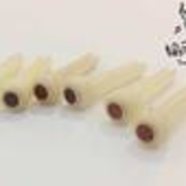 ♪ Your Music 愉耳樂器♪民謠吉他用弦釘弦栓pin 牛骨材質 貝點綴 六支套裝