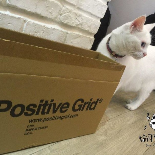 ♪ Your Music 愉耳樂器 ♪原廠公司貨 Positive Gird BT-4 BT4 藍芽 Midi 控制踏板
