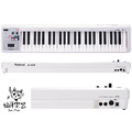 ♪ Your Music 愉耳樂器♪ 樂蘭 Roland A-49 A49 49 鍵 MIDI 控制鍵盤 白色_2
