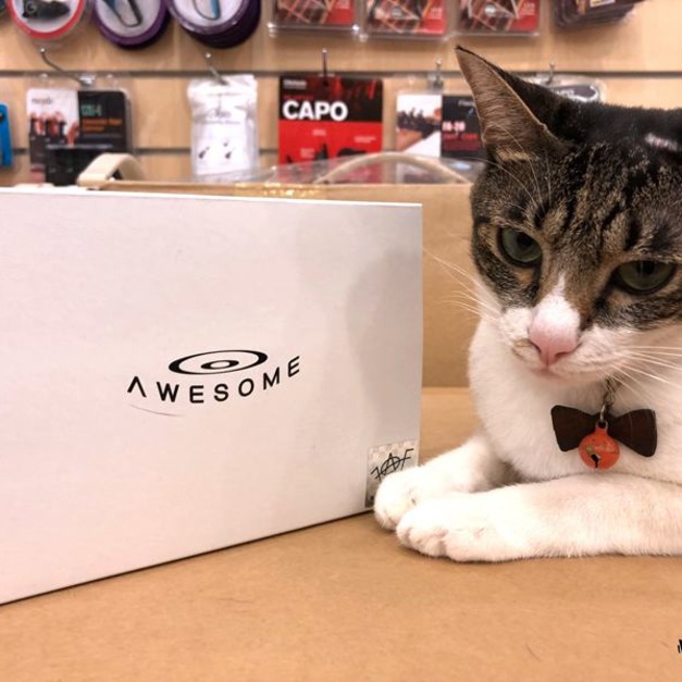 ♪ Your Music ♪ AWESOME 奧昇裝置 <黑檀弦釘組> 改良裝置 提升音色 民謠吉他弦釘 弦丁 弦豆