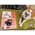 ♪ Your Music 愉耳樂器♪爵士鼓晉級檢定範例本 布拉格音樂機構 檢定 教材 範本 曲集