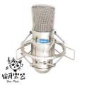 ♪ Your Music 愉耳樂器♪Alctron愛克創 MC001 晶體管電容麥克風 電容錄音麥克風 麥克風 話筒_4