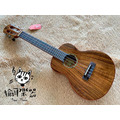 ♪ Your Music 愉耳樂器♪aNueNue AC60 23吋 台灣相思木全單板烏克麗麗