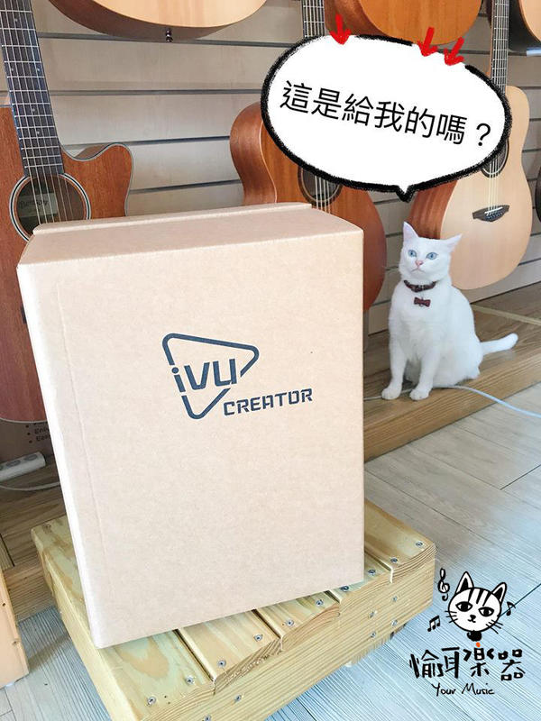 ♪ Your Music 愉耳樂器 ♪ 紙箱鼓 IVU Creator Carton Cajon 紙箱鼓 木箱鼓 