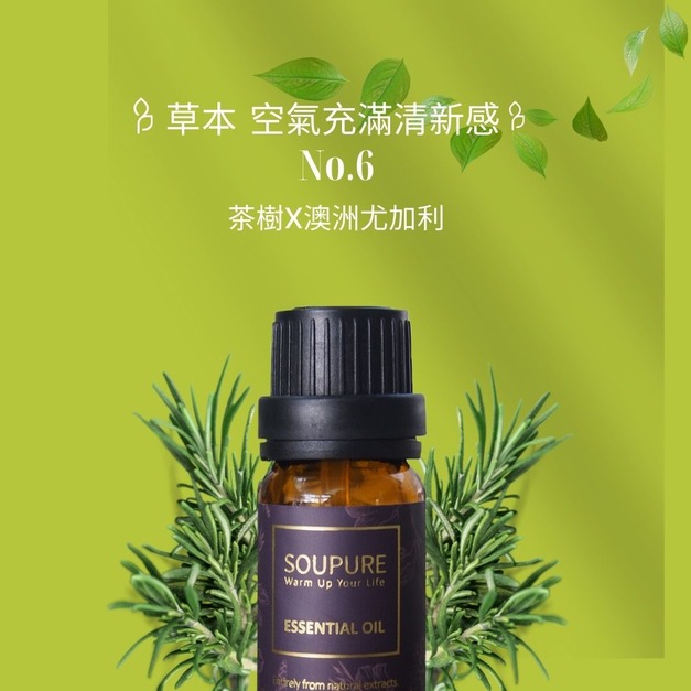 營造空氣清新環境  純淨草本力量 精油組 NO.6
