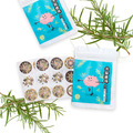<新品上市>森林木香 紅檜 精油香氛貼片-大腦體操強化_7