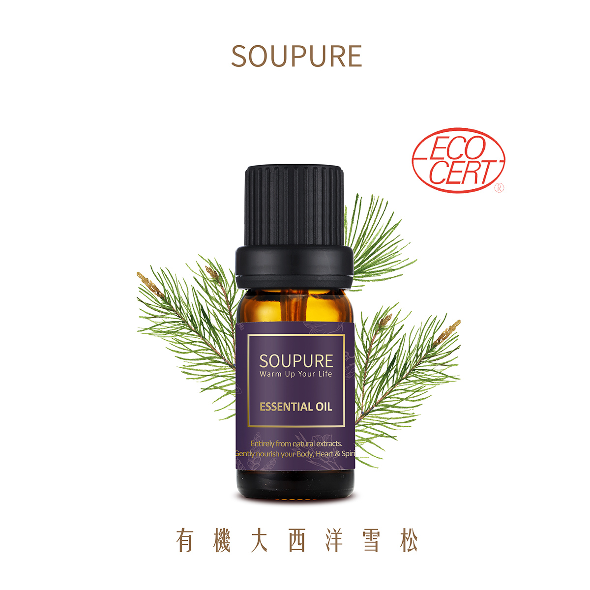 摩洛哥大西洋雪松 單方純原精油
