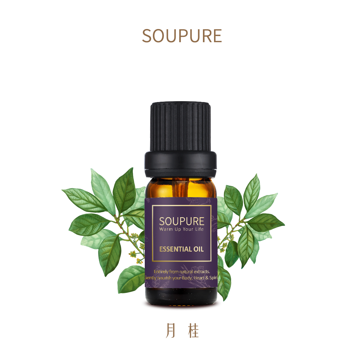 摩洛哥月桂 單方純原精油