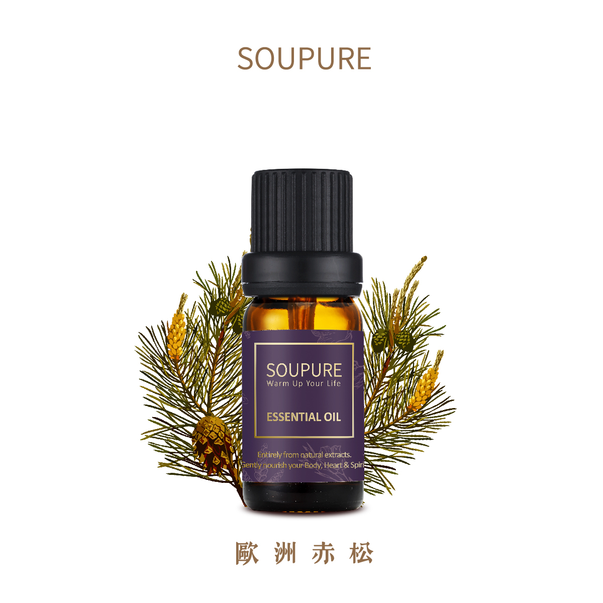 歐洲赤松 單方純原精油