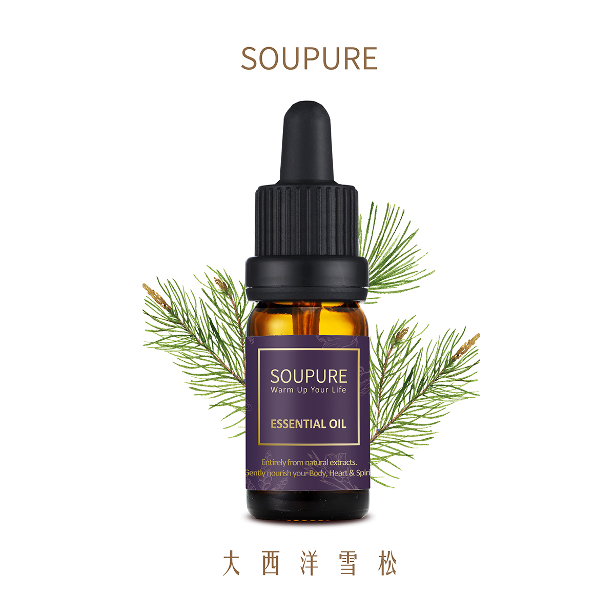 摩洛哥大西洋雪松 單方純原精油