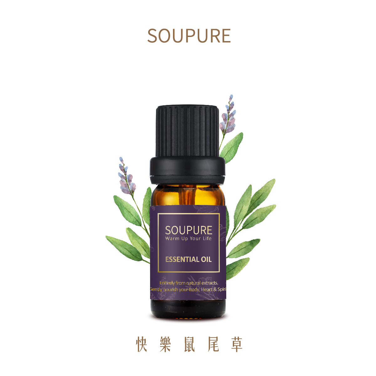 西班牙快樂鼠尾草 單方純原精油